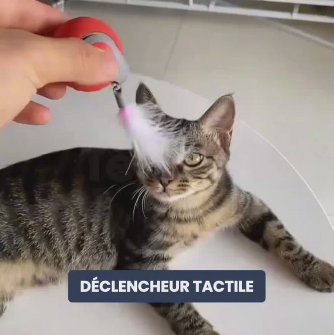Visuel de l'onglet
