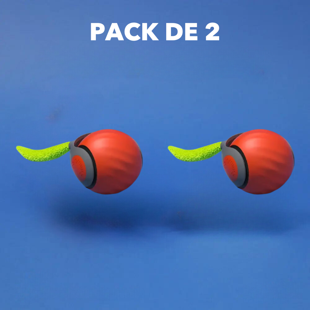 Pack de 2